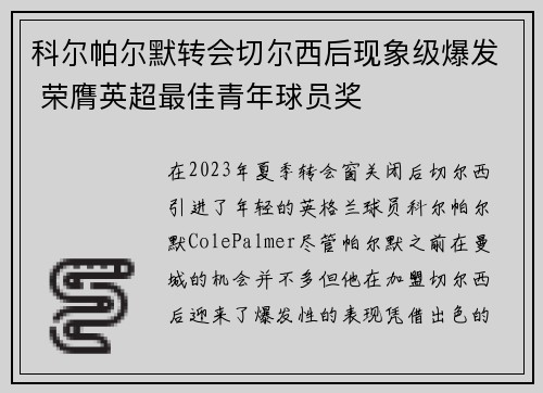 科尔帕尔默转会切尔西后现象级爆发 荣膺英超最佳青年球员奖
