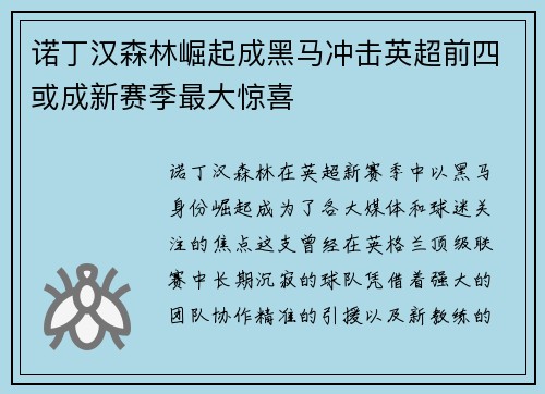 诺丁汉森林崛起成黑马冲击英超前四或成新赛季最大惊喜